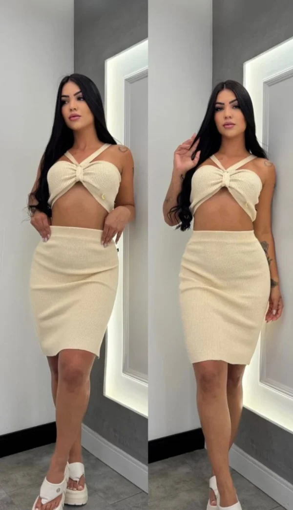 conjunto de saia sara